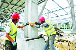 白云農創共享農副產品批發中心預計年底投用，建筑施工進展順利